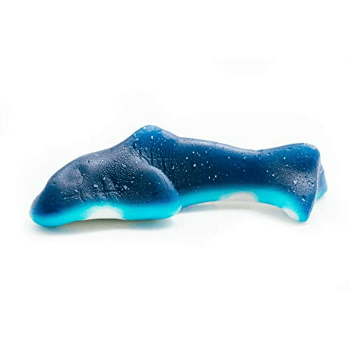 Gummy Sharks Candy – Soft Chewy Shark Gummies with Blue Raspberry Flavor, 1, 2, 3 & 5 lb Bags