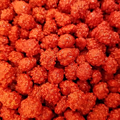 French Burnt Peanuts – Classic Candy-Coated Peanuts | Sweet & Crunchy Snack (1 lb, 2 lb, 3 lb, 5 lb)