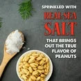 The 1949 Nut Co. Gourmet Salted Peanuts – Roasted & Lightly Salted, 20 oz Tin